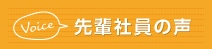 先輩社員の声